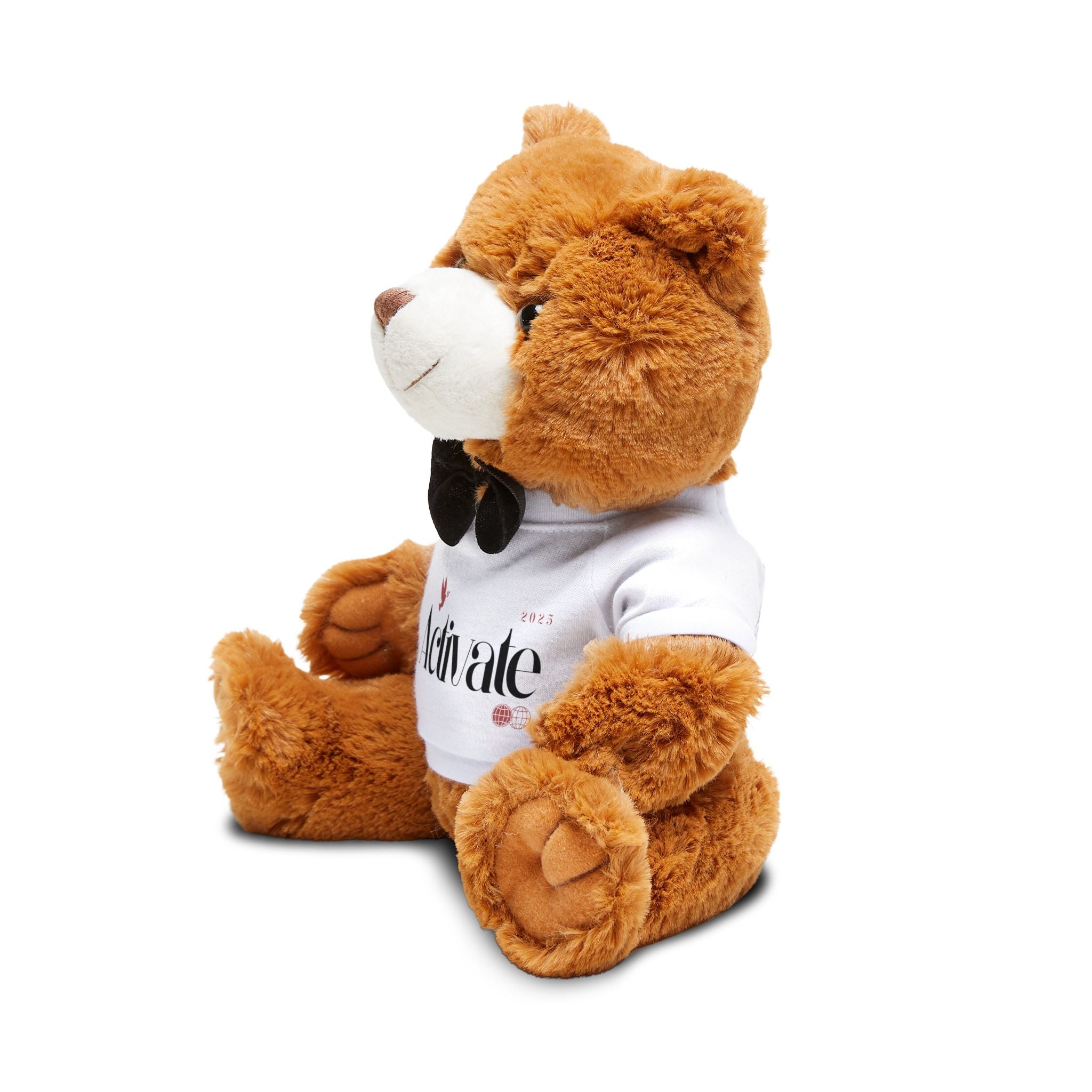 Personalized Teddy Bear with Custom T-Shirt - Perfect Gift for Kids, Birthdays, Holidays, Cuddly Toy, Unique Keepsake