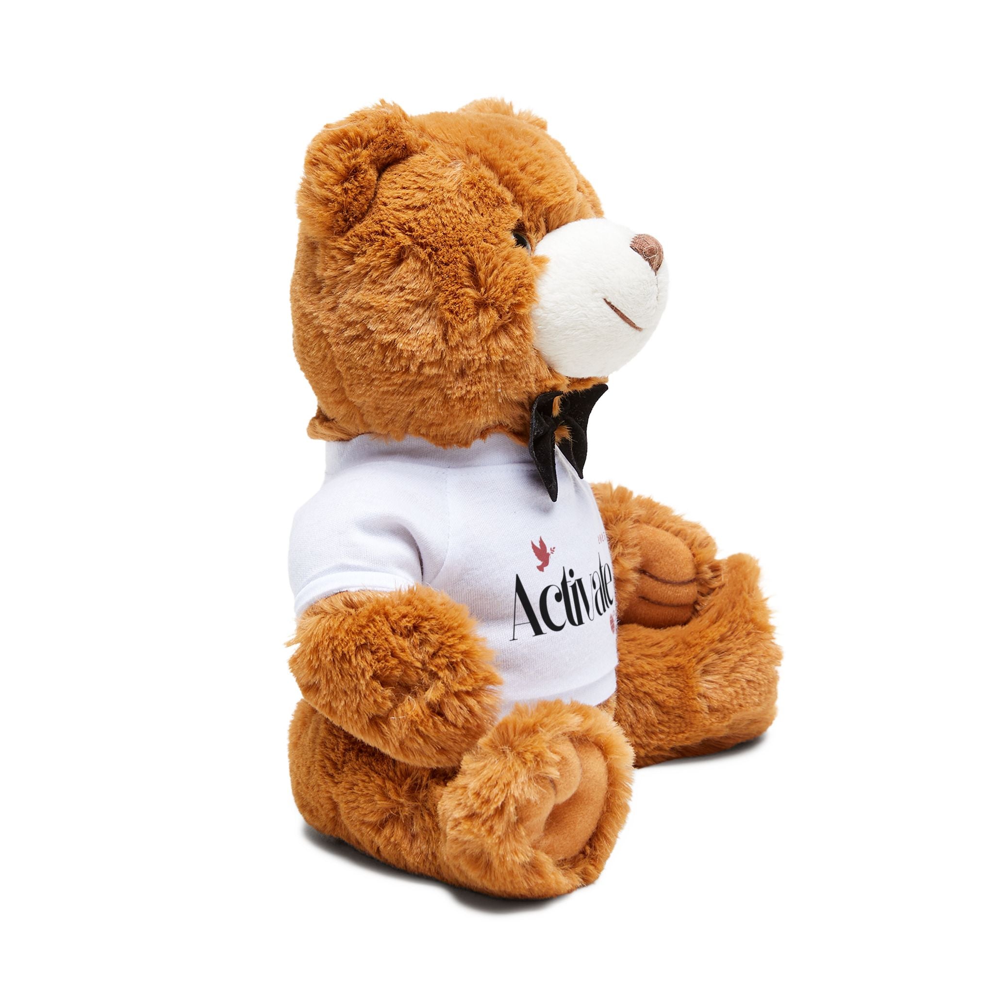 Personalized Teddy Bear with Custom T-Shirt - Perfect Gift for Kids, Birthdays, Holidays, Cuddly Toy, Unique Keepsake