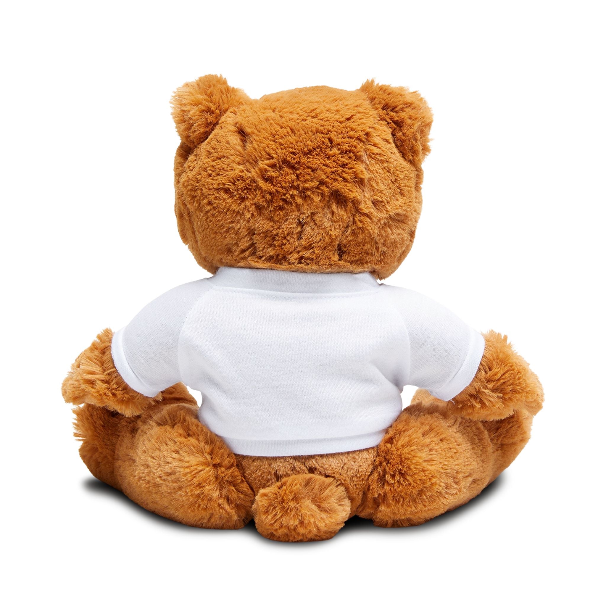 Personalized Teddy Bear with Custom T-Shirt - Perfect Gift for Kids, Birthdays, Holidays, Cuddly Toy, Unique Keepsake